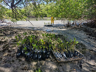 WhatsApp Image 2022-03-10 at 02.17.24 (1).jpeg