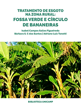 Organização vegetais (4).png