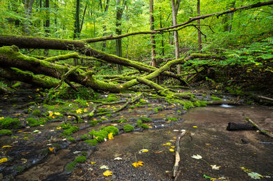Vergängliche Zeit_2022-6841.jpg