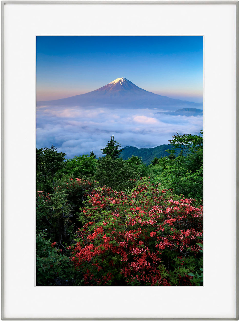サムネイル： AWJ001_048　Photo by Makoto Hashimuki