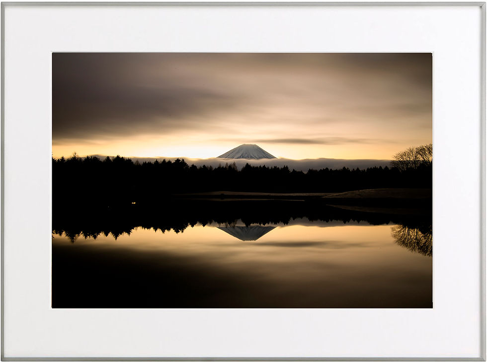 サムネイル： AWJ001_059　Photo by Makoto Hashimuki