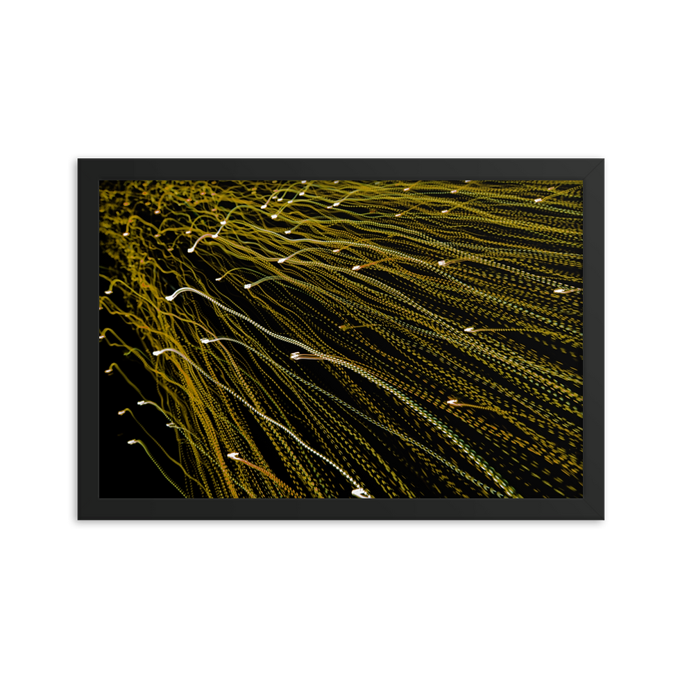 Thumbnail: Framed photo paper poster　LightART 7946