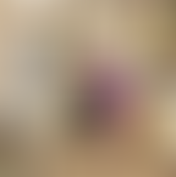 טירוף פונקציונלי: מדריך למבולבלות פסח 