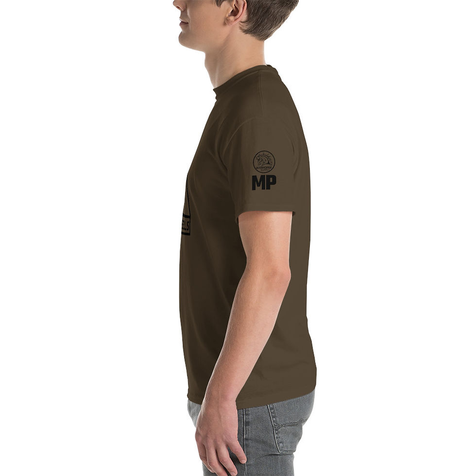 Thumbnail: US Army 2nd Armor MP TEE - SAND/OD