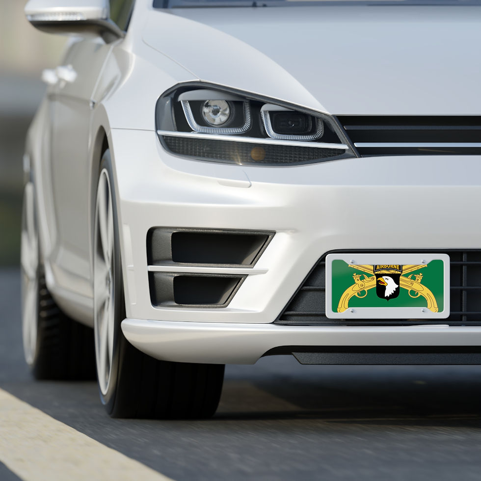 Thumbnail: Military Police License Plate - 101st Airborne 