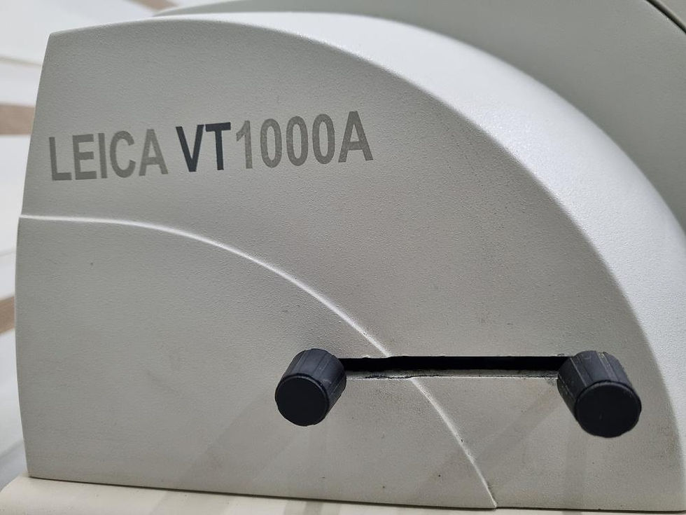 Thumbnail: LEICA VT1000A Vibrating blade microtome