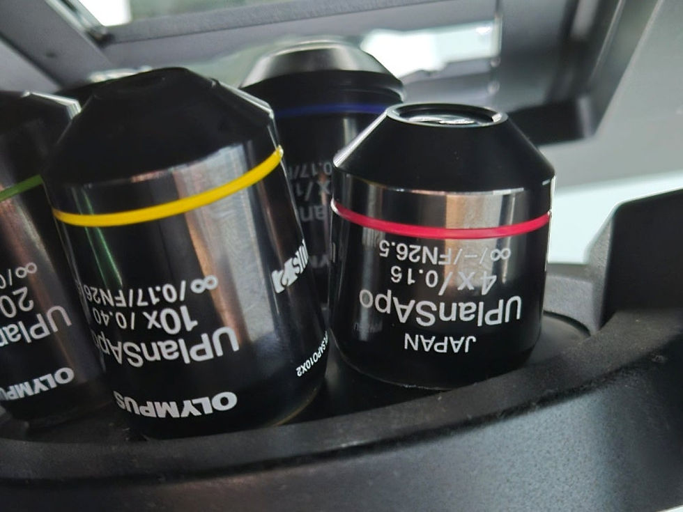 Thumbnail: OLYMPUS IX81 Microscope