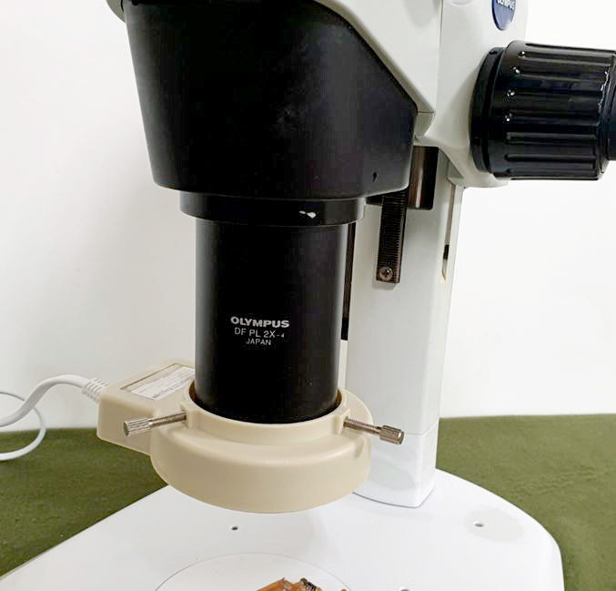 Thumbnail: Olympus SZX10 Microscope