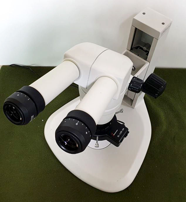 Thumbnail: Nikon SMZ1000 Microscope