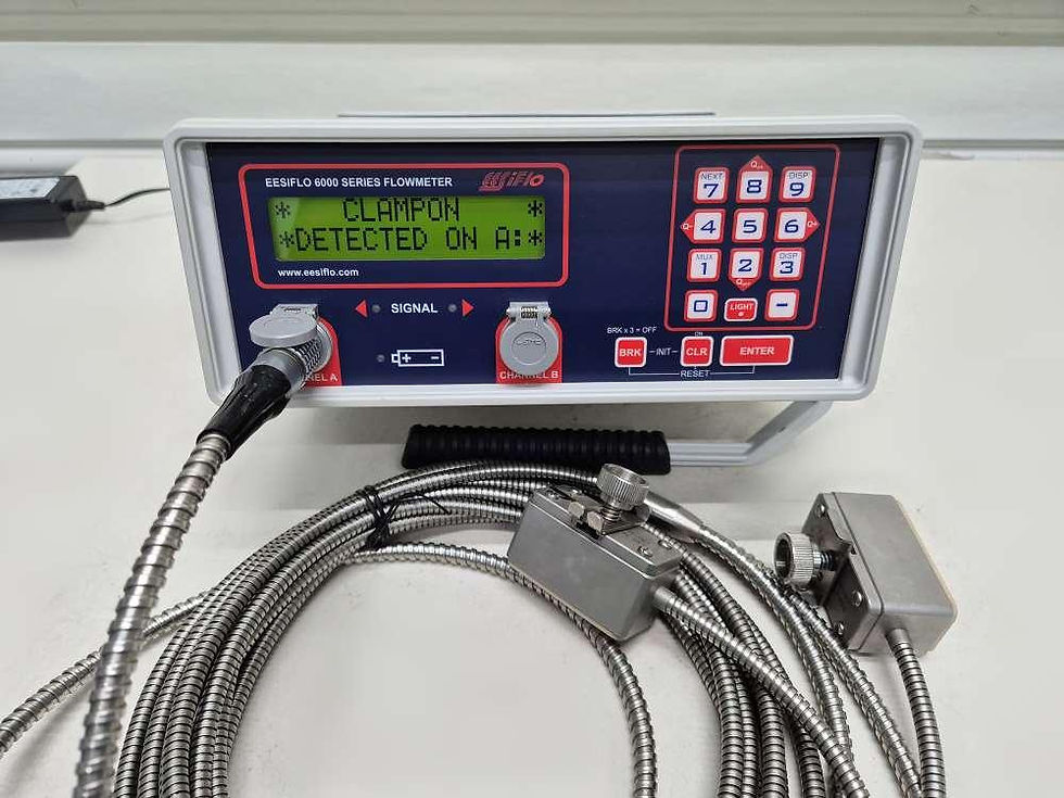 EESIFLO 6000 Series Ultrasonic Flowmeter