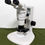 Thumbnail: Nikon SMZ1000 Microscope