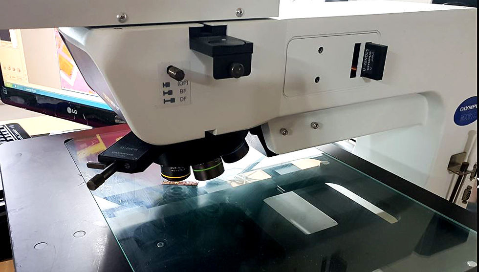 Thumbnail: Olympus MX61L Microscope
