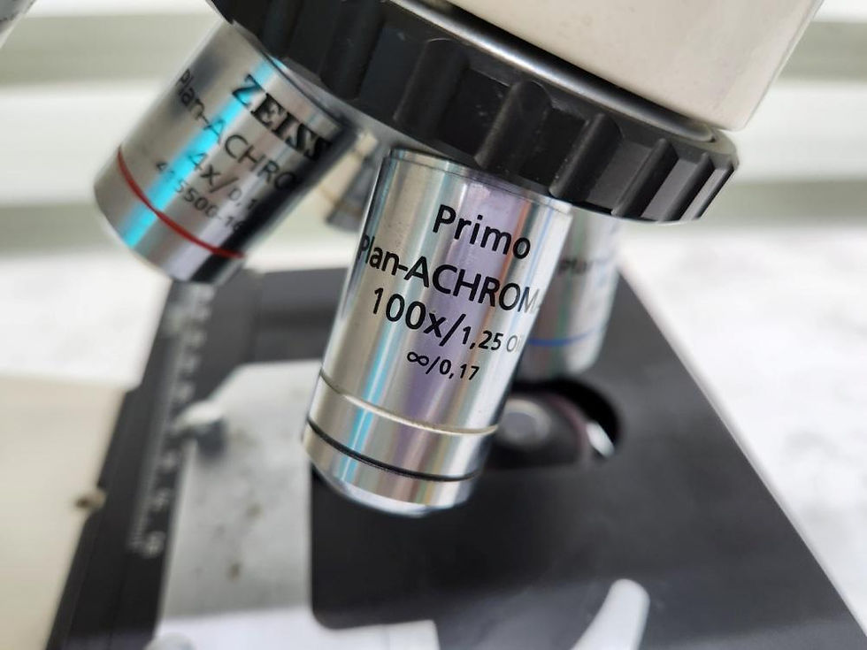 Thumbnail: Carl Zeiss Primo Star Microscope