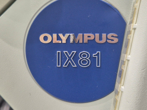 OLYMPUS 35RC ⭐️東芝BC発光器&電球　希少　一式セット The Olympus 35RC, a sweet little rangefinder (1970) - Asser