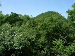 P1000481