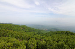 kilátás2