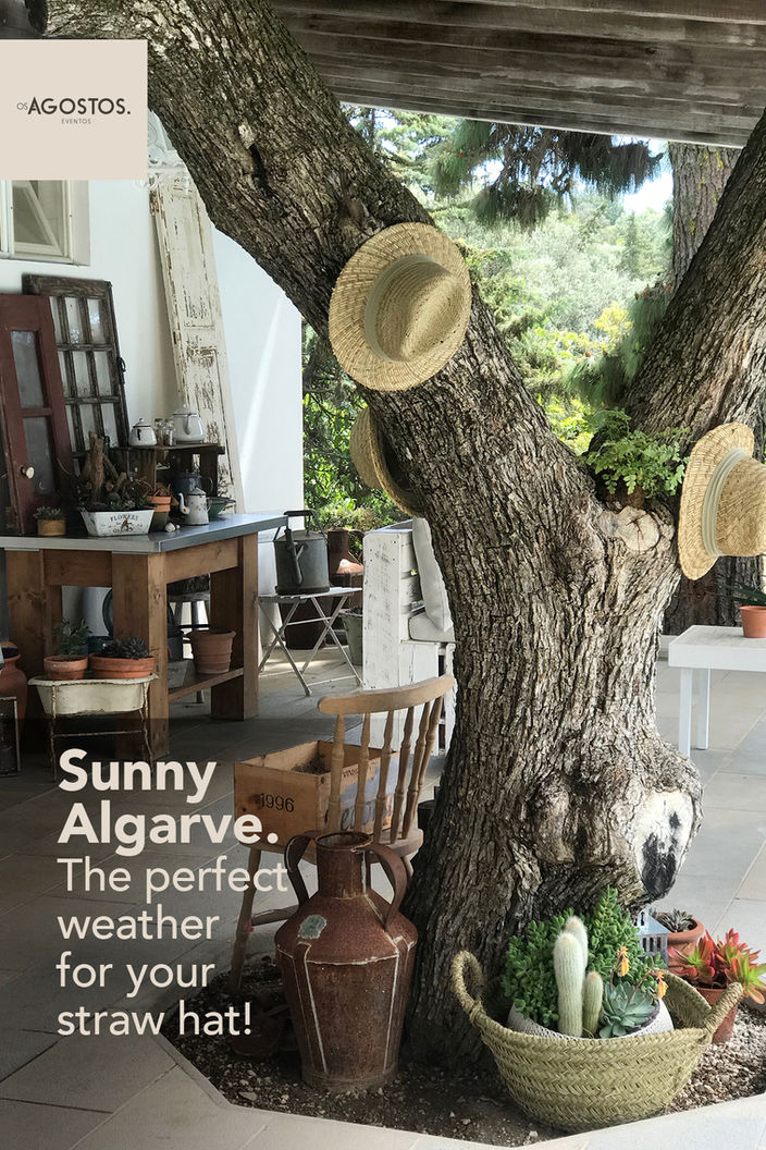 Summer starts today! 
It's time to go outside and enjoy the sun!