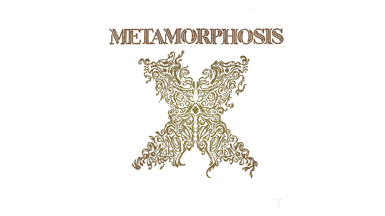 transparent for website.gif