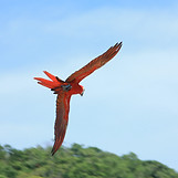 IMG_3427.JPG