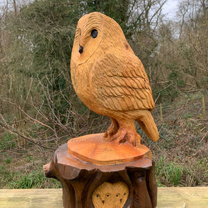 Mother Owl