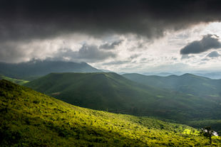 _DSC2178.jpg
