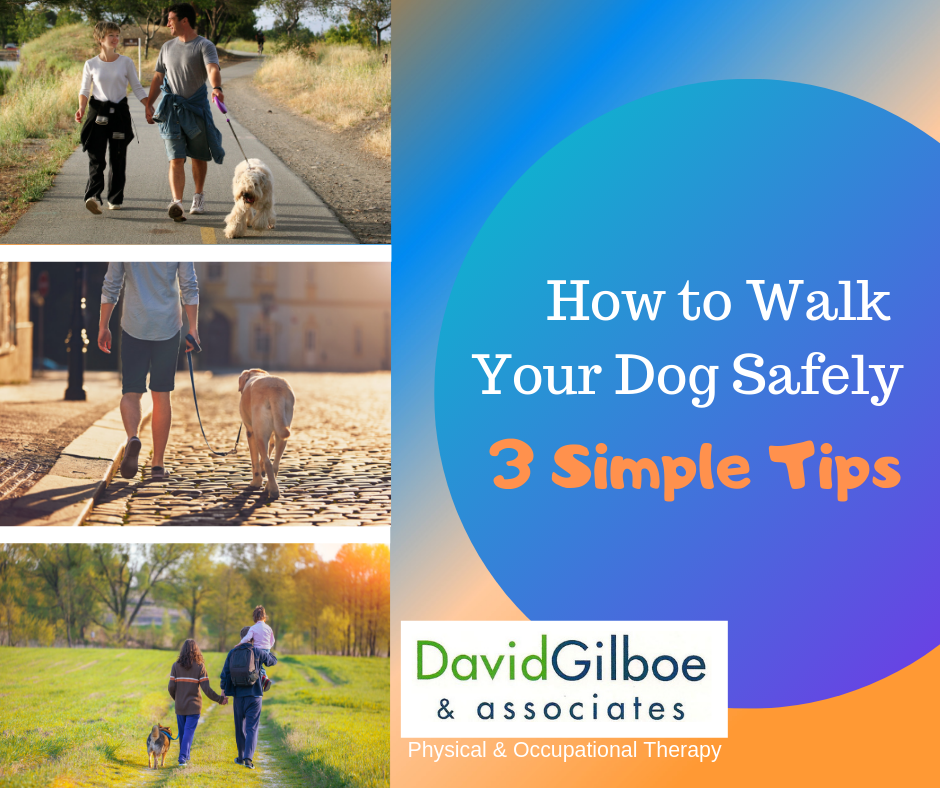 How to Walk Your Dog Safely 3 Simple Tips