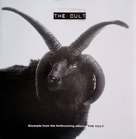 Melody Maker - The Cult Flexi Disc - Front Cover.jpg