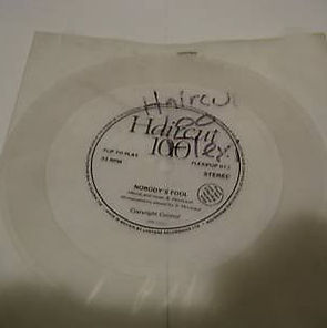 Haircut 100 - Nobody's Fool Clear Flexi