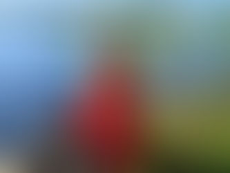 Iloinen viherpeukalo ja exceltaituri - Annina Kaaja