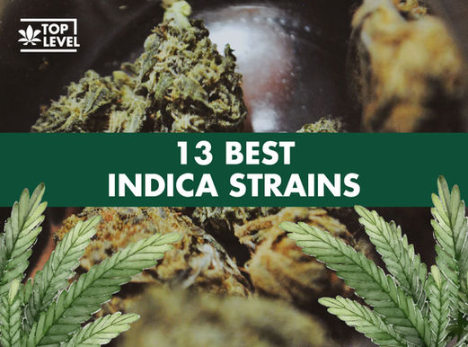 15 Best Indica Strains to Try in 2025