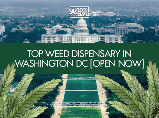 Top Weed Dispensary in Washington DC [Open Now]