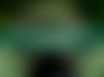 How To Make Weed Tea With Stems In 5 Steps