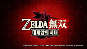 
Hyrule Warriors : Age of Calamity (2020)