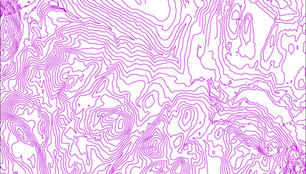 Prescient Solutions: Mapping Software