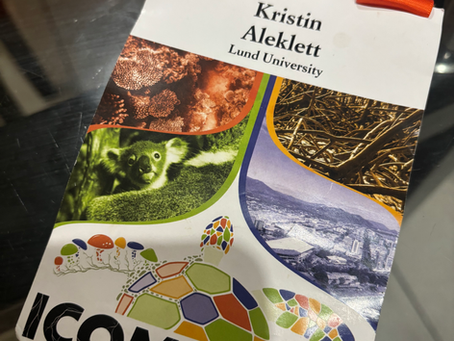 Conference: ICOM 2026 in Cairns, Australia