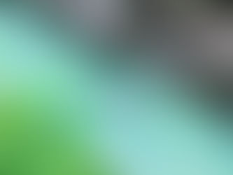 Eisbadeverein on Tour: "Eisschwimmen" in der Erlaufschlucht