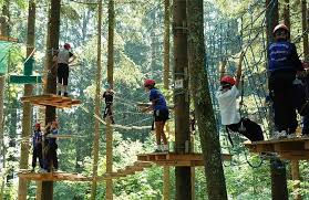 Adventure Park