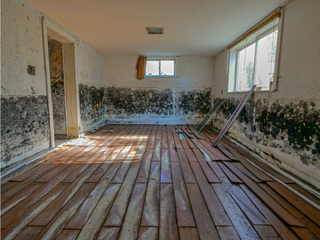 How to Choose the Right Restoration Company: 7 Key Questions to Ask