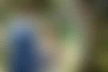 Braut und Bräutigam stehen sich gegenüber, Braut hat Brautstrauß, Hintergrund mit Bäumen