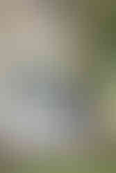 zwei Männer stehen an einer weißer Hauswand mit blauem Dach und blauem Fensterrahmen