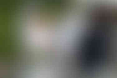 Braut und bräutigam stehen, lachen sich an, Rückenansicht Traurednerin