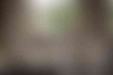 Blick aus Saal durch Fenster, Stühle, beige Gardinen, Menschen