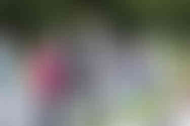 Blumenboy wirft Rosen, Menschen sitzen und stehen drumherum