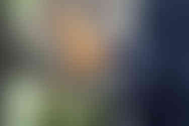 drei Biergläser werden angestoßen