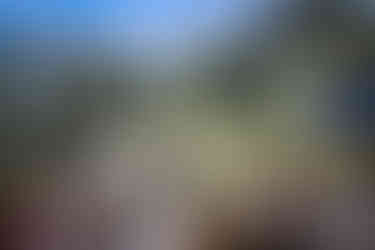 im Hintergrund Himmel und Hügel mit Tannen, im Vordergrund Gäste und Brautpaar