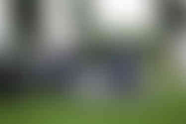 drei Männer sitzen im Garten