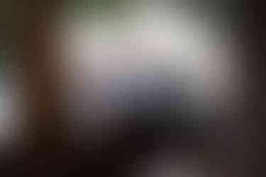 Blick durch ein altes Tramfenster auf Menschen