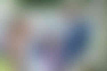 alte Tram, Menschen auf weißen Bänken, Braut und Bräutigam