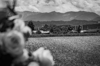 Freie Trauung im Tropenhaus Weihenlinden mit Bergblick in Oberbayern