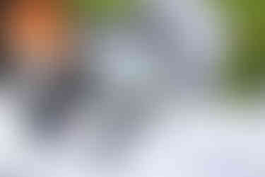 Mikrofon, I-Pad, Sonnenbrille